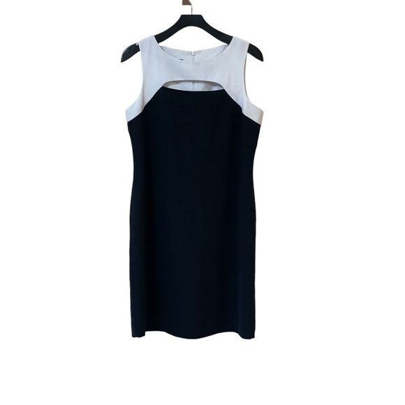 AGB Dresses & Skirts - NWOT AGB‎ Dress Petite Color Block Sheath Dress